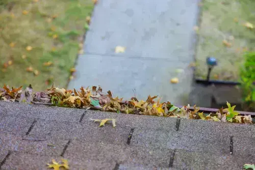 Leafshield-Gutter-Guards--in-Mount-Angel-Oregon-leafshield-gutter-guards-mount-angel-oregon.jpg-image